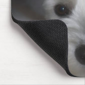 Sweet Face White Schnauzer Puppy Mousepad (Ecke)