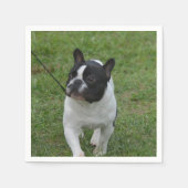 Sweet French Bulldog Serviette (Vorderseite)