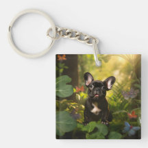 🐶 💗 Sweet Frenchie Welpe in einem Dschungel