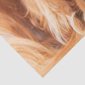 Sweet Friend Cavalier King Charles Seidenpapier (Ausschnitt)