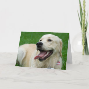 Sweet Friendly Labrador Karte