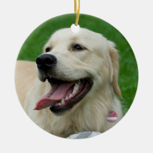 Sweet Friendly Labrador Keramikornament