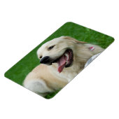 Sweet Friendly Labrador Magnet (Linke Seite)