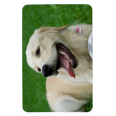 Sweet Friendly Labrador Magnet (Vertikal)
