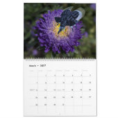 Sweet Funny Elephant Crossbreeds 2023 Kalender (Mär 2027)