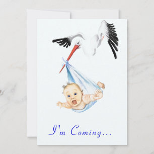 Sweet Funny Stork Baby Shower Einladung