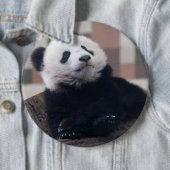 Sweet Giant Panda Baby Button (Beispiel)