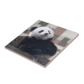 Sweet Giant Panda Baby Fliese (Seite)