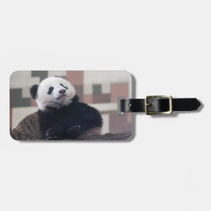 Sweet Giant Panda Baby Gepäckanhänger