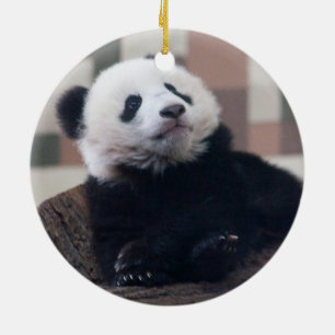 Sweet Giant Panda Baby Keramik Ornament