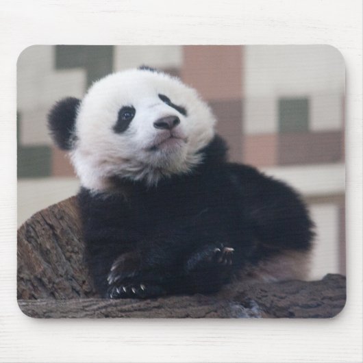 Sweet Giant Panda Baby Mousepad (Vorne)