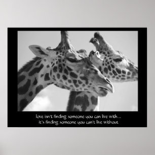 Sweet Giraffes Poster, mit Zitat über Liebe 28x20 Poster