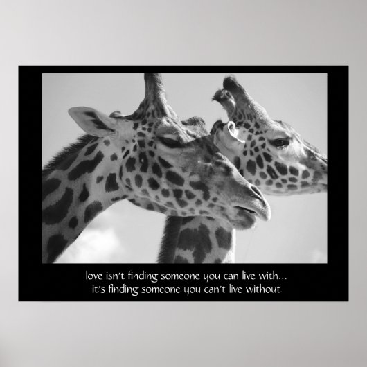 Sweet Giraffes Poster, mit Zitat über Liebe 28x20 Poster (Vorne)