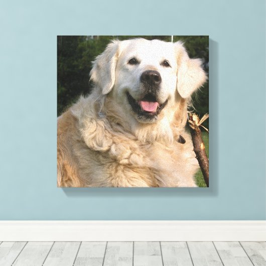 Sweet Golden Retriever Canvas Print Leinwanddruck (Insitu (Holzboden))