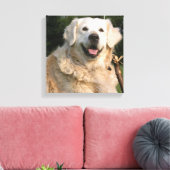 Sweet Golden Retriever Canvas Print Leinwanddruck (Insitu (Wohnzimmer))
