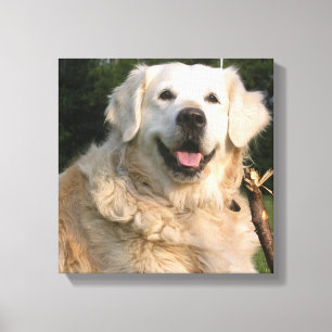 Sweet Golden Retriever Canvas Print Leinwanddruck