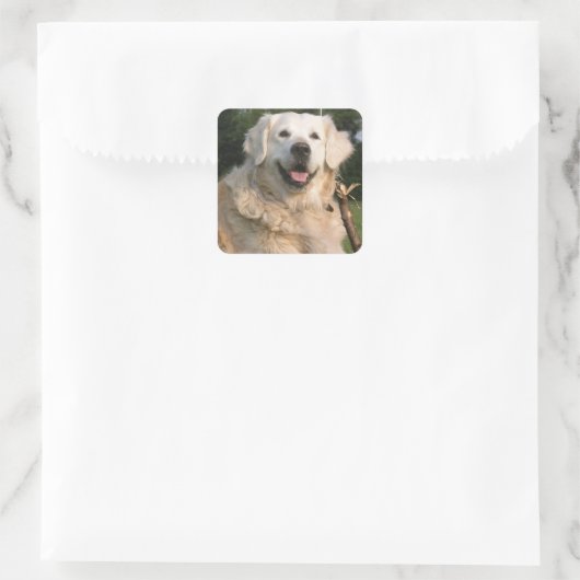 Sweet Golden Retriever Stickers (Tasche)