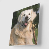 Sweet Golden Retriever Wall Clock Quadratische Wanduhr (Winkel)