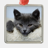 Sweet Gray Cat Face Ornament (Vorne)