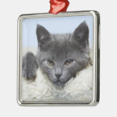 Sweet Gray Cat Face Ornament Aus Metall (Links)