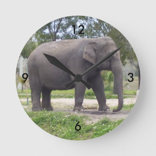 Sweet Gray Elephant Runde Wanduhr (Vorderseite)