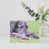 Sweet Great Dane Postcard Postkarte (Stehend Vorderseite)