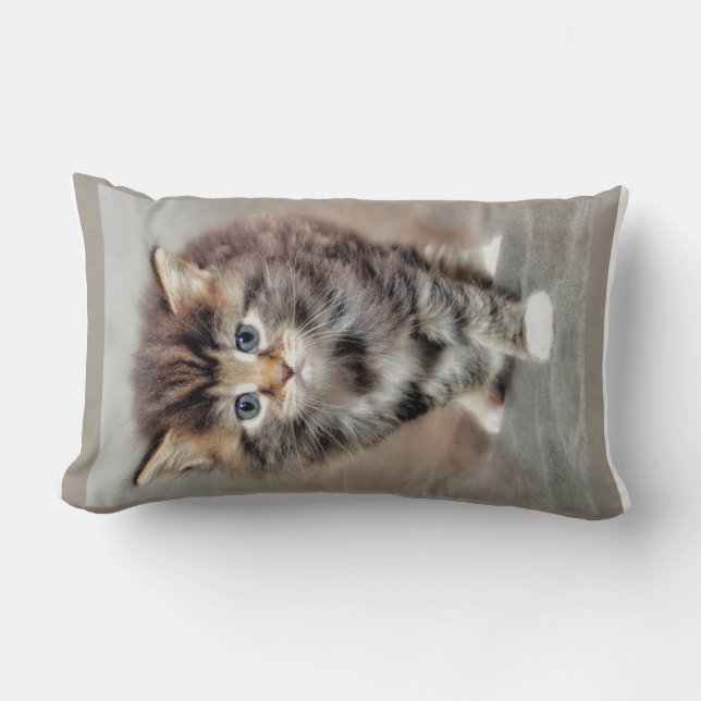 Sweet Grumpy Baby Kitten Lendenkissen (Vorderseite)