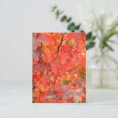 Sweet Gum Blätter Postkarte (Stehend Vorderseite)