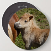 Sweet Haflinger Foal Button (Vorne & Hinten)