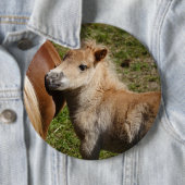 Sweet Haflinger Foal Button (Beispiel)