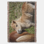 Sweet Haflinger Foal Decke (Vorderseite Vertikal)