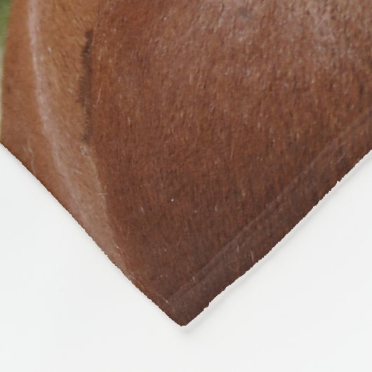 Sweet Haflinger Foal Fleecedecke (Ecke)