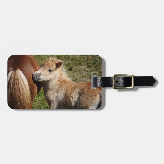 Sweet Haflinger Foal Gepäckanhänger (Vorderseite horizontal)