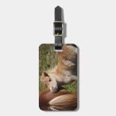 Sweet Haflinger Foal Gepäckanhänger (Vorderseite vertikal)