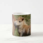 Sweet Haflinger Foal Kaffeetasse (Mittel)