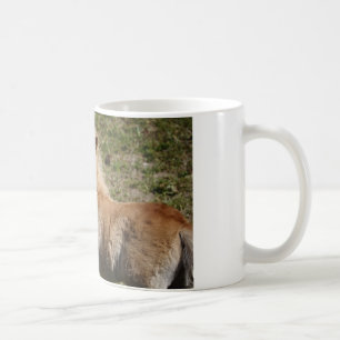 Sweet Haflinger Foal Kaffeetasse