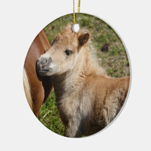 Sweet Haflinger Foal Keramik Ornament