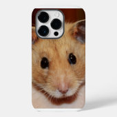 Sweet Hamster iPhone / iPad Case (Rückseite)