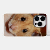Sweet Hamster iPhone / iPad Case (Rückseite (Horizontal))