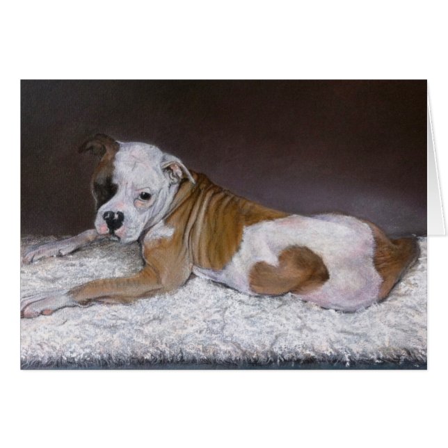 Sweet Heart, American Bulldog (Vorderseite (Horizontal))