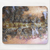 Sweet Honey Bee Mousepad (Vorne)