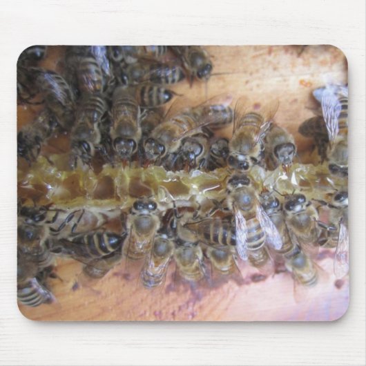 Sweet Honey Bee Mousepad (Vorne)