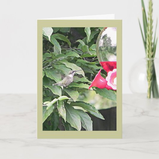 Sweet Humming Bird Birthday Wish Karte (Vorderseite)