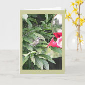 Sweet Humming Bird Birthday Wish Karte (Gelbe Blume)