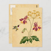 Sweet Hummingbird Vintag Botanischer Garten Postkarte (Vorne/Hinten)