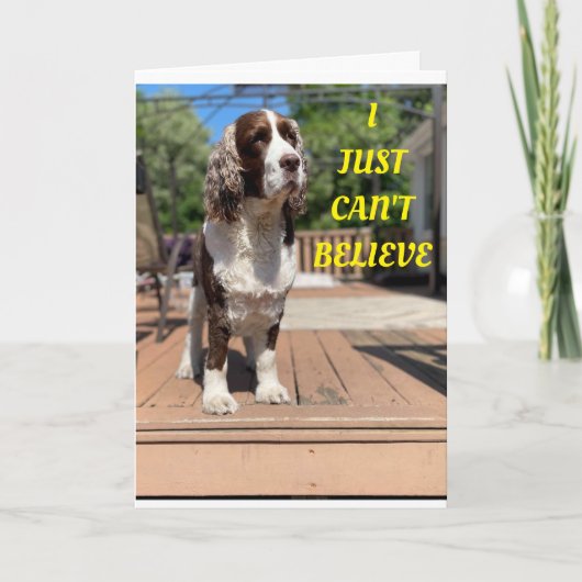 SWEET HUNDEN SAGT GLÜCKLICH 50. GEBURTSTAG! Karte (Vorderseite)