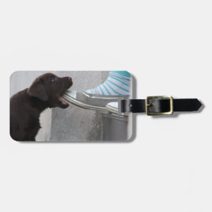 Sweet Hungry Brown Labrador Puppy Gepäckanhänger