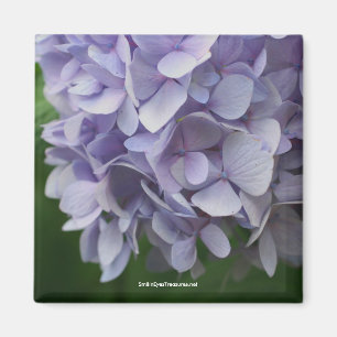 Sweet Hydrangea Blume Foto Magnet - Maßgeschneider