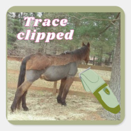 Sweet Jamie Trace gekürzt Quadratischer Aufkleber