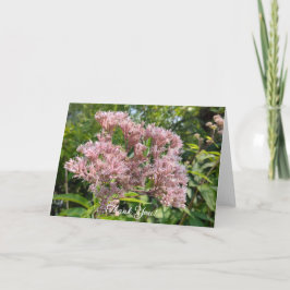 Sweet Joe Pye Weeds Dankeskarte